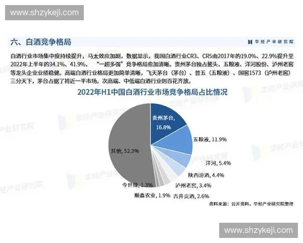 欧洲顶级足球联赛实力格局解析与强队竞争态势全面剖析