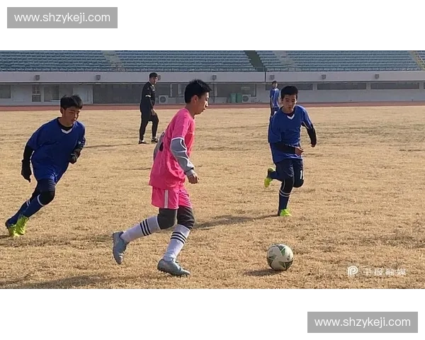 围绕平顶山足球联赛打造城市全民体育高质量发展崭新篇章宏图蓝景 围绕平顶山足球联赛打造城市全民体育高质量发展崭新篇章宏图蓝景